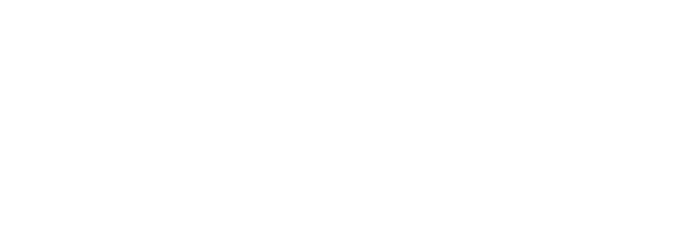 Alex Brasovan